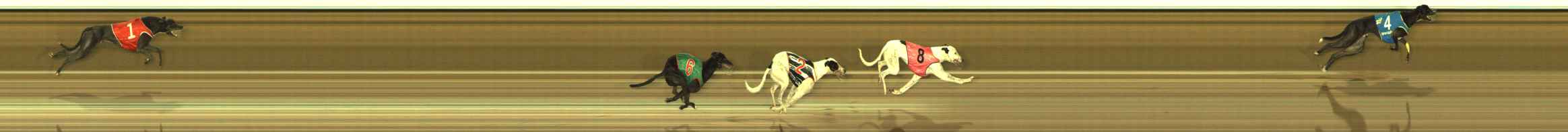 Race result finish photo
